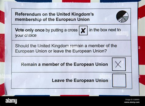 referendum odds|EU referendum odds: Remain vote has always been .